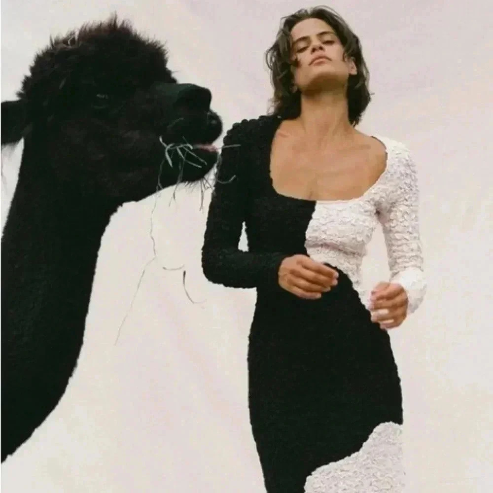 Mara Hoffman Black and White Colorblock Textured Long Sleeve Dress - Picture 2 of 8